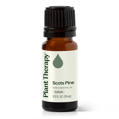 Plant Therapy Scots Pine Essential Oil 10 mL (1/3 oz) - 100% Pure, Undiluted, Therapeutic Grade