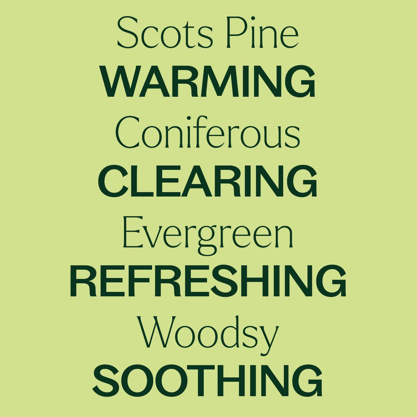 Plant Therapy Scots Pine Essential Oil 10 mL (1/3 oz) - 100% Pure, Undiluted, Therapeutic Grade