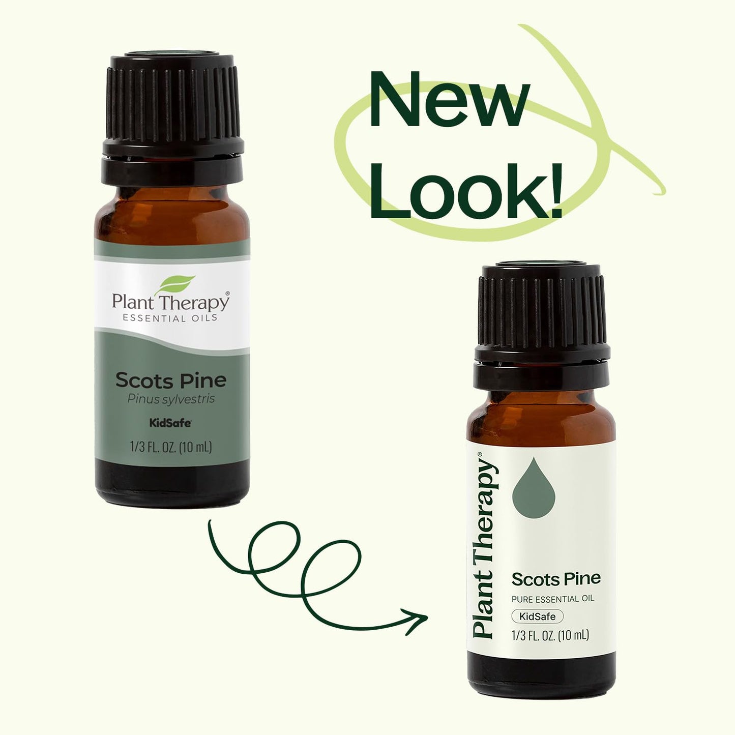 Plant Therapy Scots Pine Essential Oil 10 mL (1/3 oz) - 100% Pure, Undiluted, Therapeutic Grade