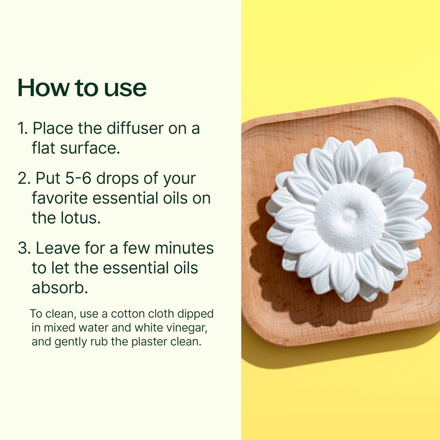 Plant Therapy Passive Sunflower Essential Oil Diffuser – No Heat or Water