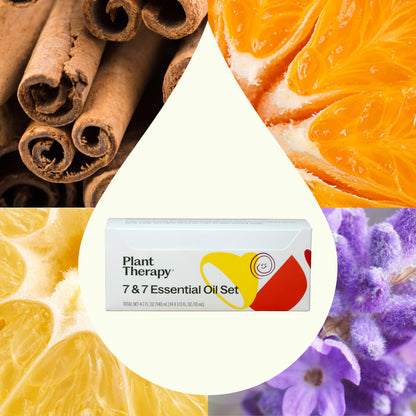 Plant Therapy 7 & 7 Essential Oils Set – 7 Singles + 7 Synergy Blends, 10 mL