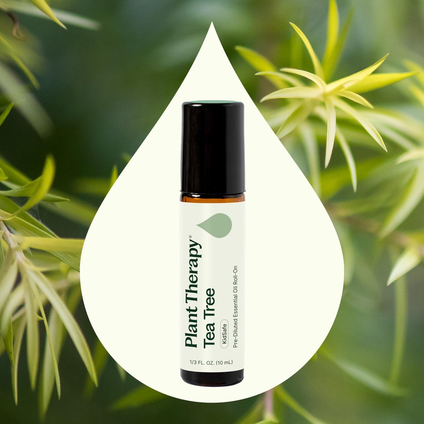 Plant Therapy Tea Tree Essential Oil 100% Pure – Pre-Diluted Roll-On (10 mL) Pack of 2