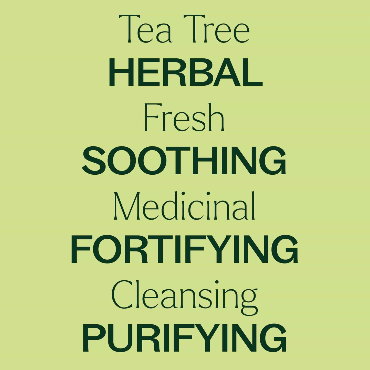 Plant Therapy Tea Tree Essential Oil 100% Pure – Pre-Diluted Roll-On (10 mL) Pack of 2