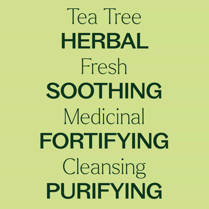Plant Therapy Tea Tree Essential Oil 100% Pure – Pre-Diluted Roll-On (10 mL) Pack of 2