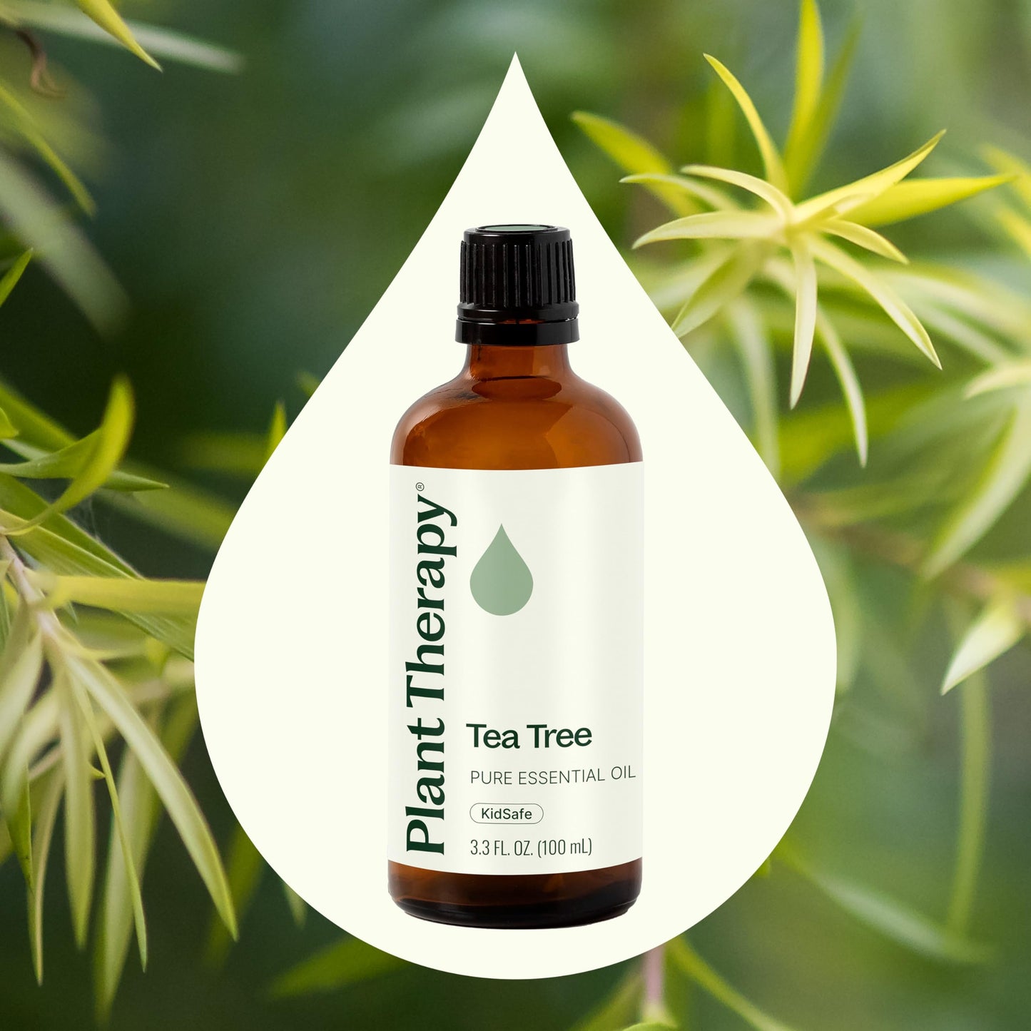 Tea Tree Essential Oil by Plant Therapy – 100% Pure, 100 mL (3.3 oz)