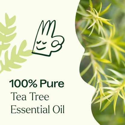 Tea Tree Essential Oil by Plant Therapy – 100% Pure, 100 mL (3.3 oz)