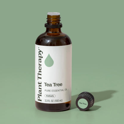 Tea Tree Essential Oil by Plant Therapy – 100% Pure, 100 mL (3.3 oz)
