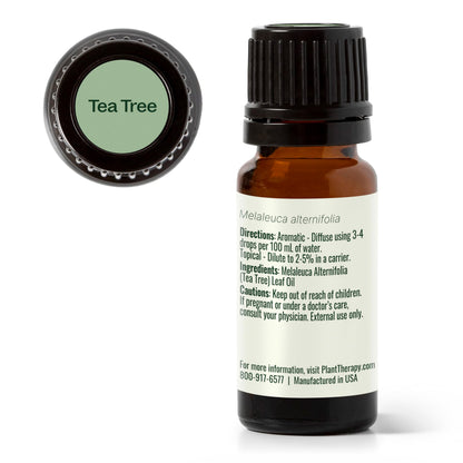 Tea Tree Essential Oil - 100% Pure & Undiluted (10 mL) | Plant Therapy
