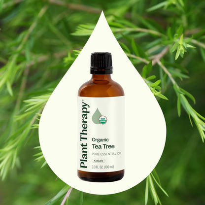 Plant Therapy Tea Tree Oil – 100 mL (3.3 oz) | 100% Pure, USDA Organic, Undiluted, Therapeutic Grade