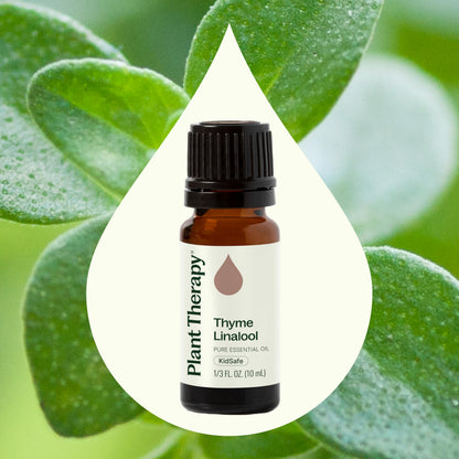 Plant Therapy Thyme Linalool Essential Oil 10 mL | 100% Pure & Therapeutic Grade