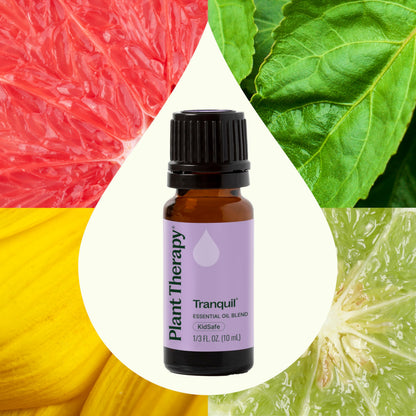Plant Therapy Tranquil Essential Oil Blend – Peace & Calming, 10 mL
