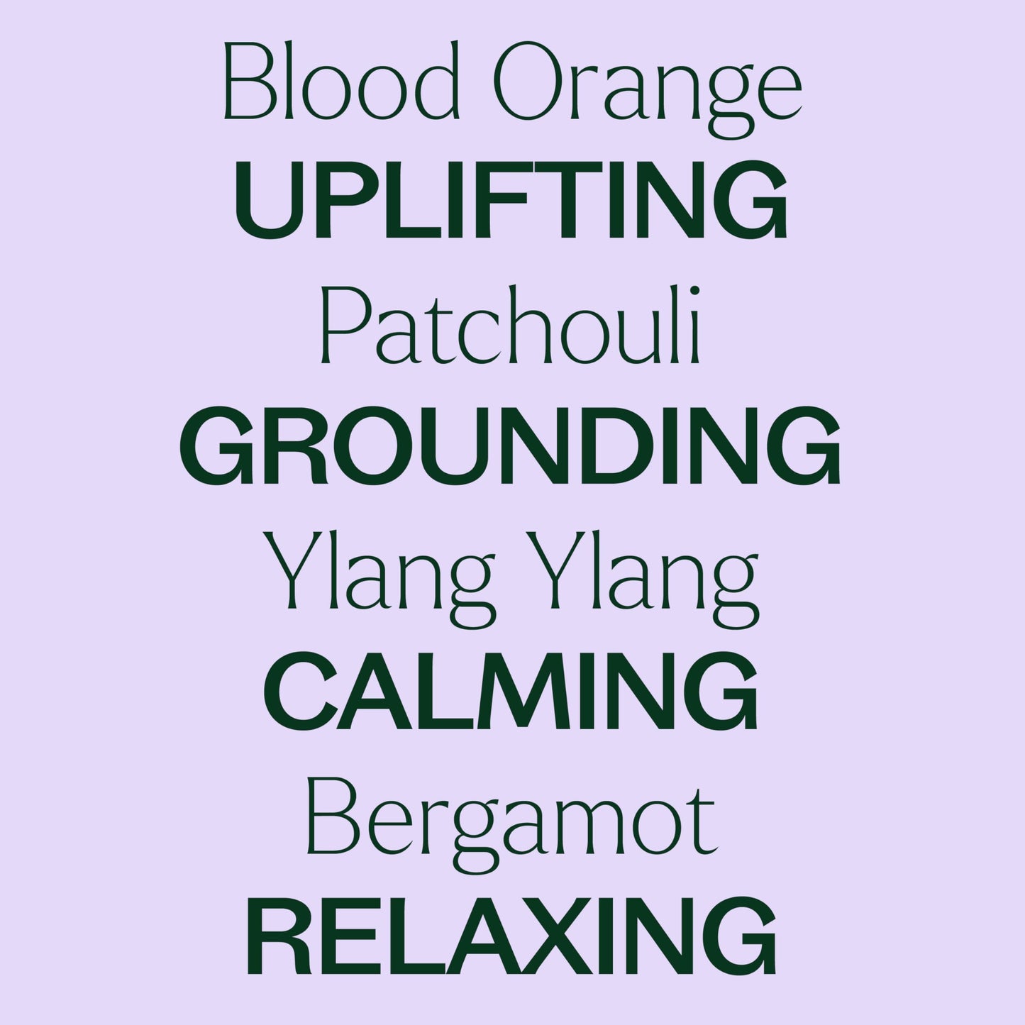 Plant Therapy Tranquil Essential Oil Blend – Peace & Calming, 10 mL
