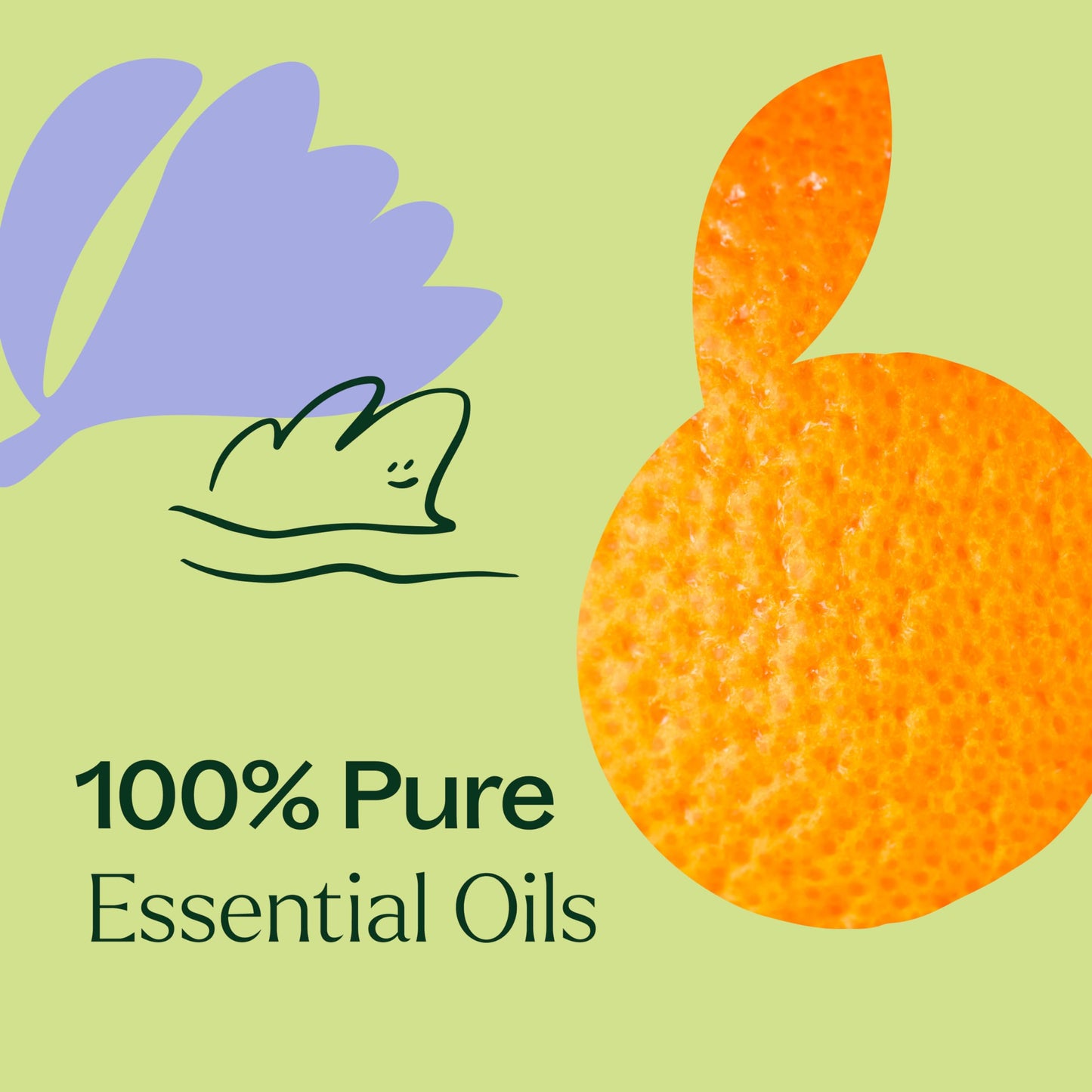 Plant Therapy Tranquil Essential Oil Blend – Peace & Calming, 10 mL