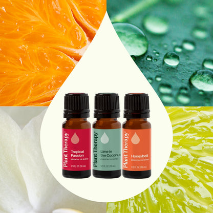 Plant Therapy Tropical Scents Home Set — 3 Essential Oil Blends (Honeybell, Lime in the Coconut, Tropical Passion) 10 mL Each