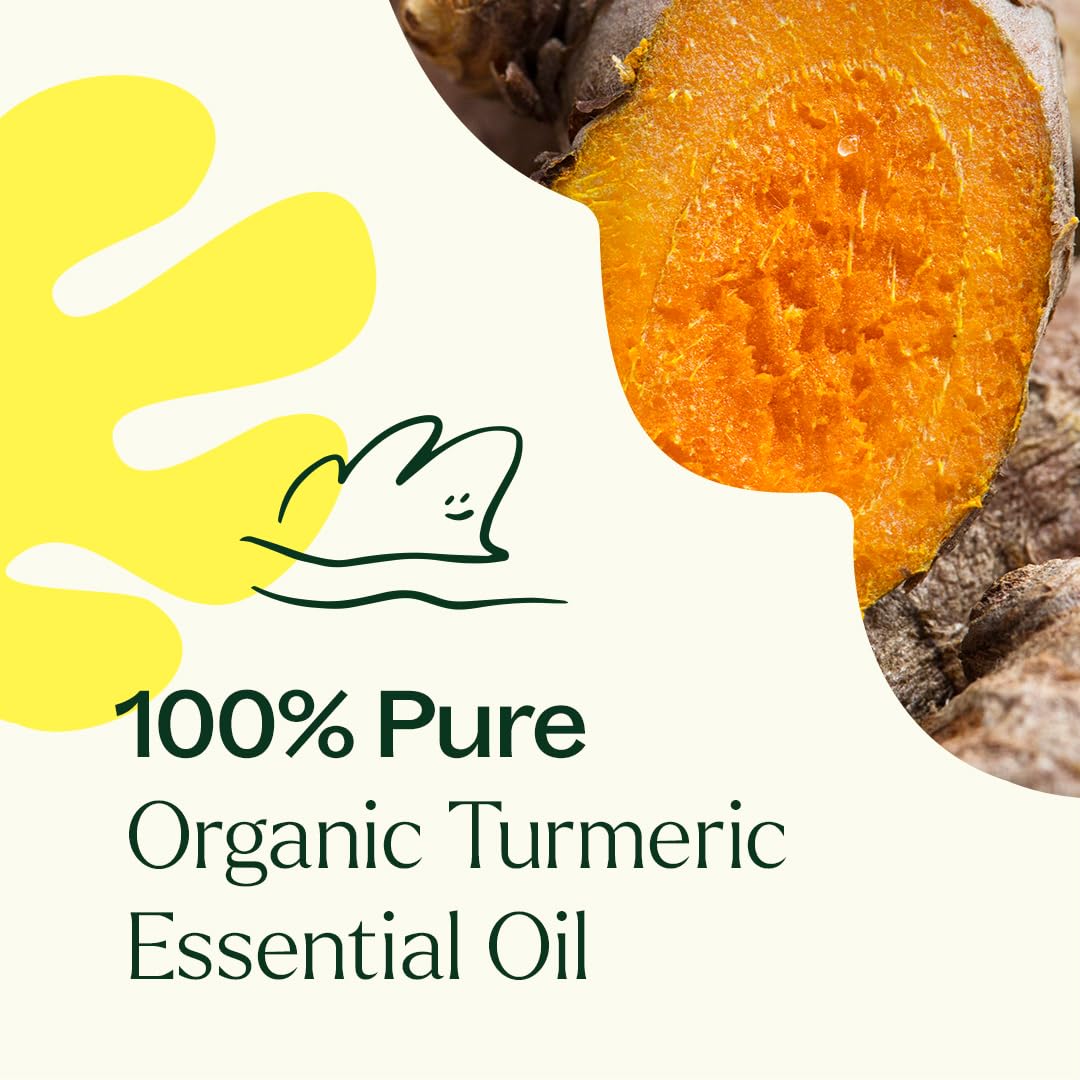 Plant Therapy USDA Certified Organic Turmeric CO2 Essential Oil 10 mL (1/3 oz) - 100% Pure, Undiluted, Therapeutic Grade