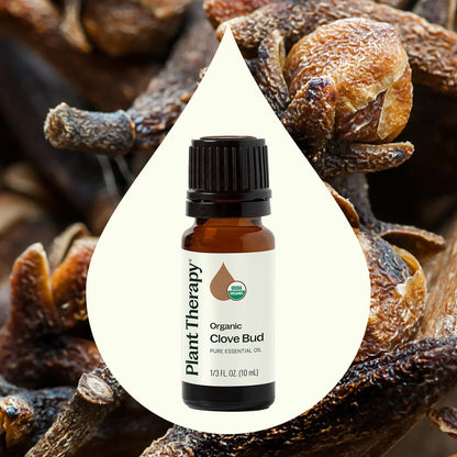 Plant Therapy Clove Bud Organic Essential Oil – 100% Pure, USDA Organic, 10 mL