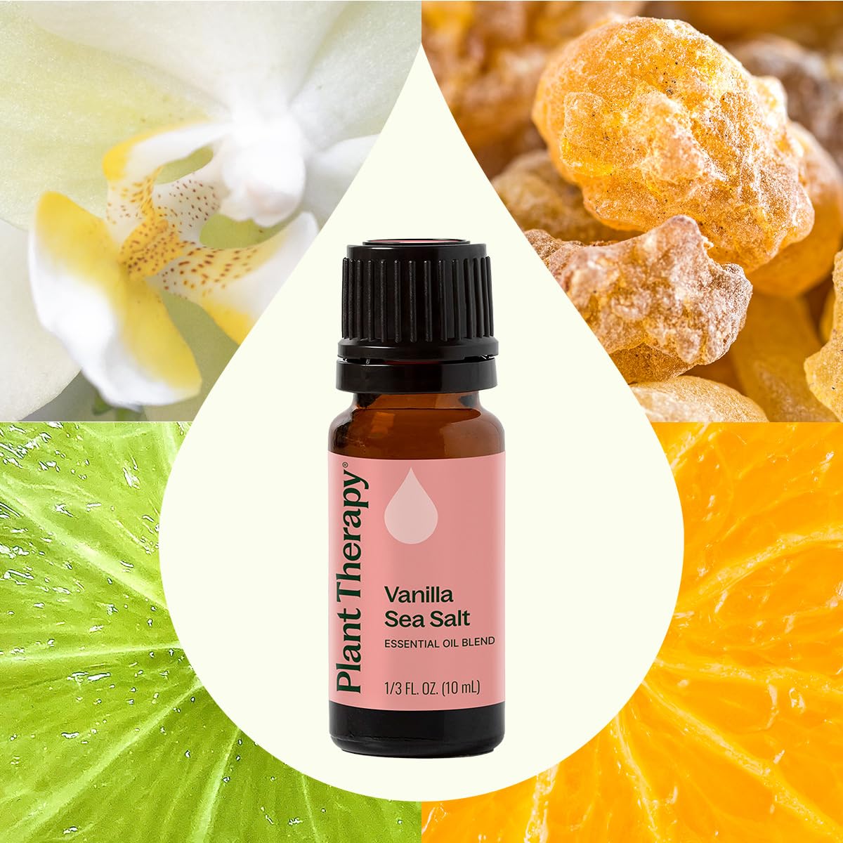 Plant Therapy Vanilla Sea Salt Essential Oil Blend - 10 mL, 100% Pure