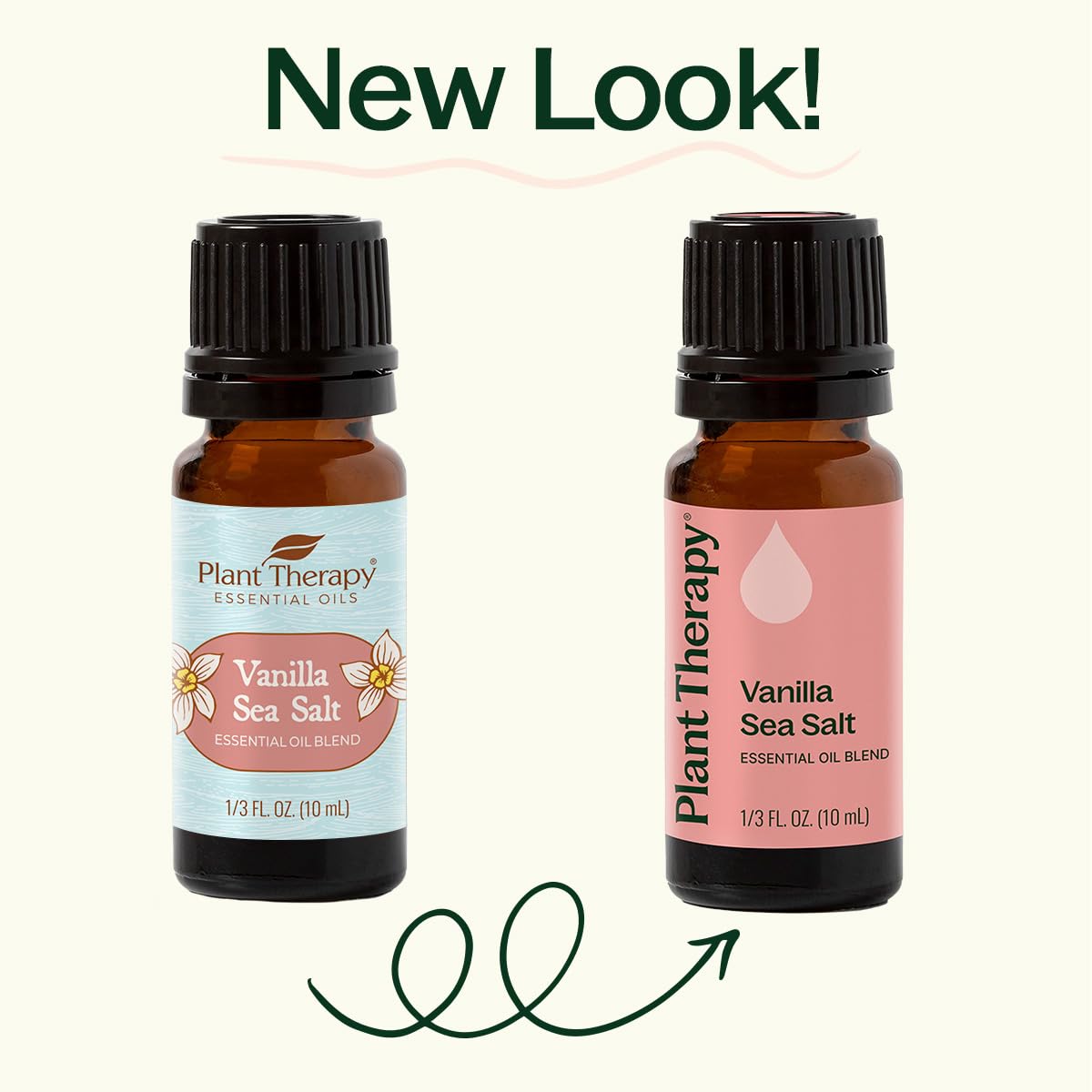 Plant Therapy Vanilla Sea Salt Essential Oil Blend - 10 mL, 100% Pure
