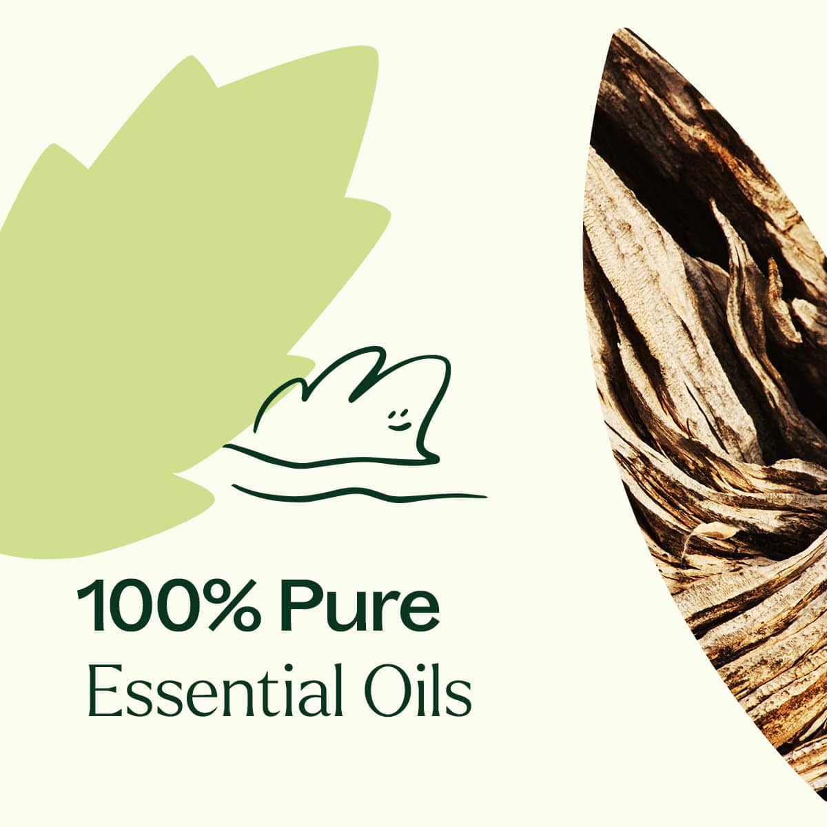 Plant Therapy Wood Spice Essential Oil Blend 10 mL – 100% Pure, Undiluted, Therapeutic Grade