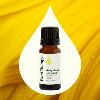 Plant Therapy Ylang Ylang Complete Essential Oil – 100% Pure, Undiluted, Therapeutic Grade, 10 mL
