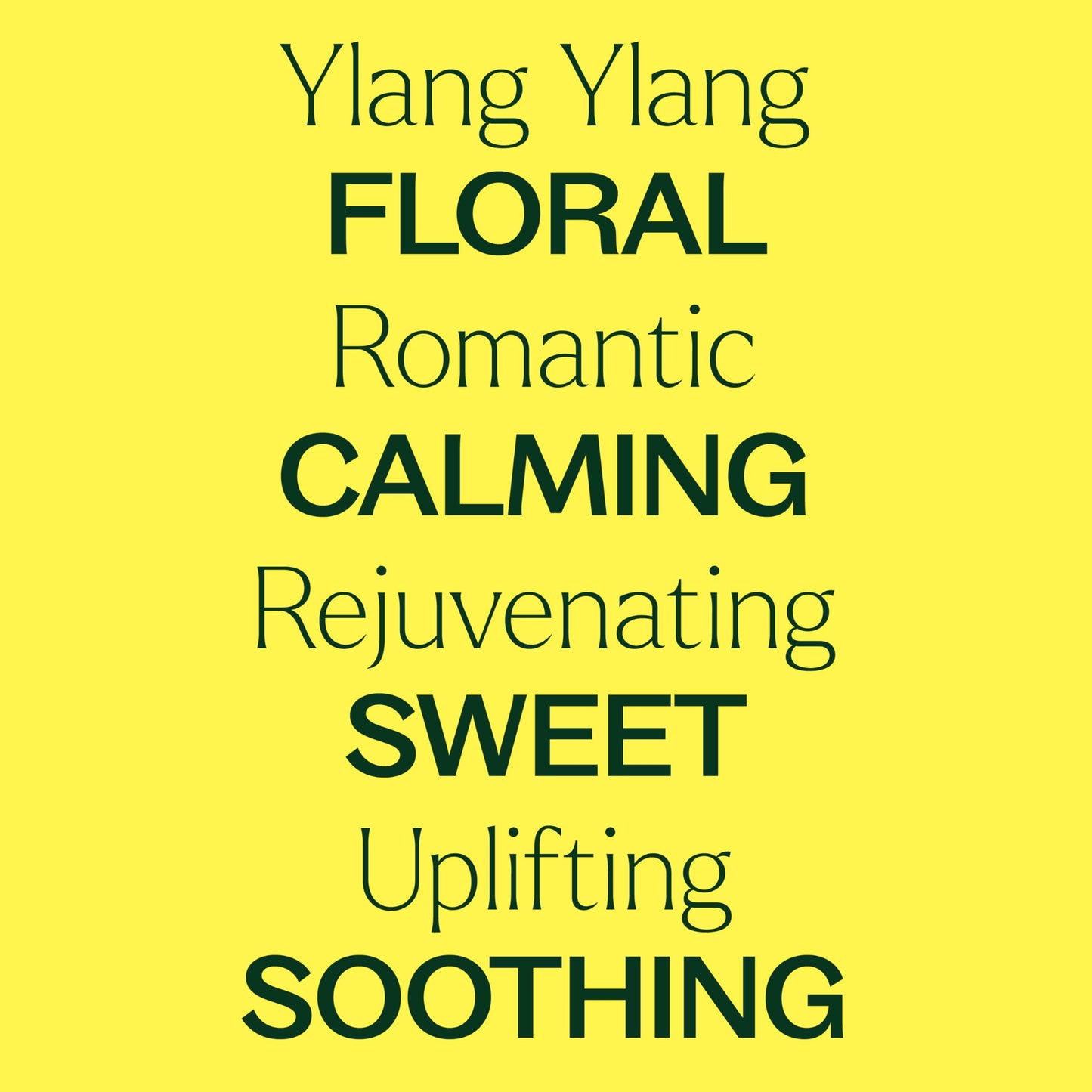 Plant Therapy Ylang Ylang Complete Essential Oil – 100% Pure, Undiluted, Therapeutic Grade, 10 mL