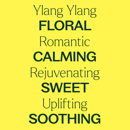 Plant Therapy Ylang Ylang Complete Essential Oil – 100% Pure, Undiluted, Therapeutic Grade, 10 mL