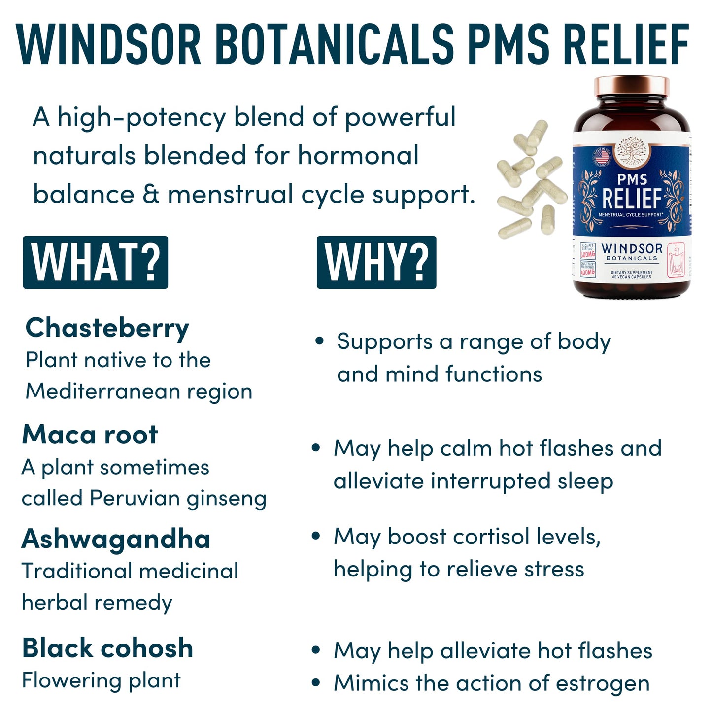 PMS Support Supplement for Women | Chasteberry, Maca & Ashwagandha | Mood & Hormone Balance | 60 Vegan Capsules