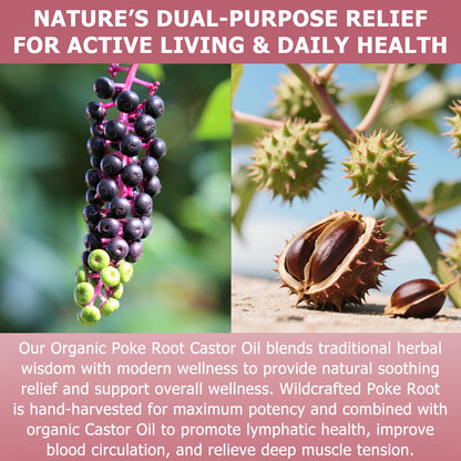 Organic Poke Root Castor Oil – 2 fl oz | Lymphatic Support & Women’s Health