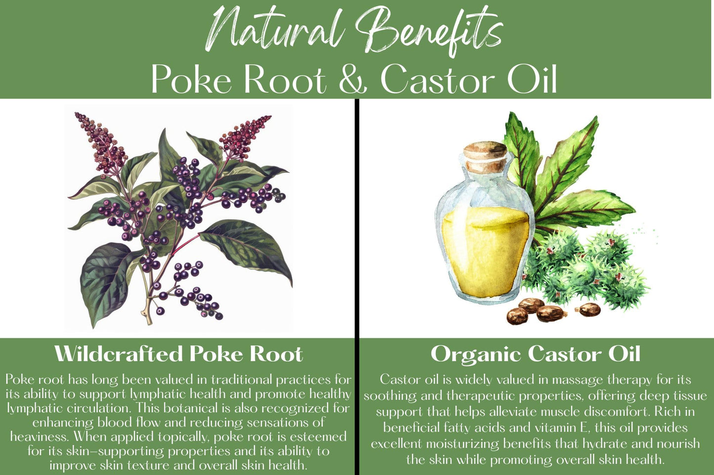 Poke Root & Castor Oil Salve - 1oz | Vegan Lymphatic Support Balm | Handmade in USA