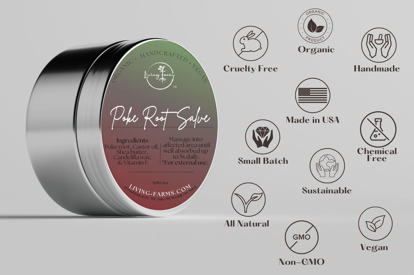 Poke Root & Castor Oil Salve - 1oz | Vegan Lymphatic Support Balm | Handmade in USA