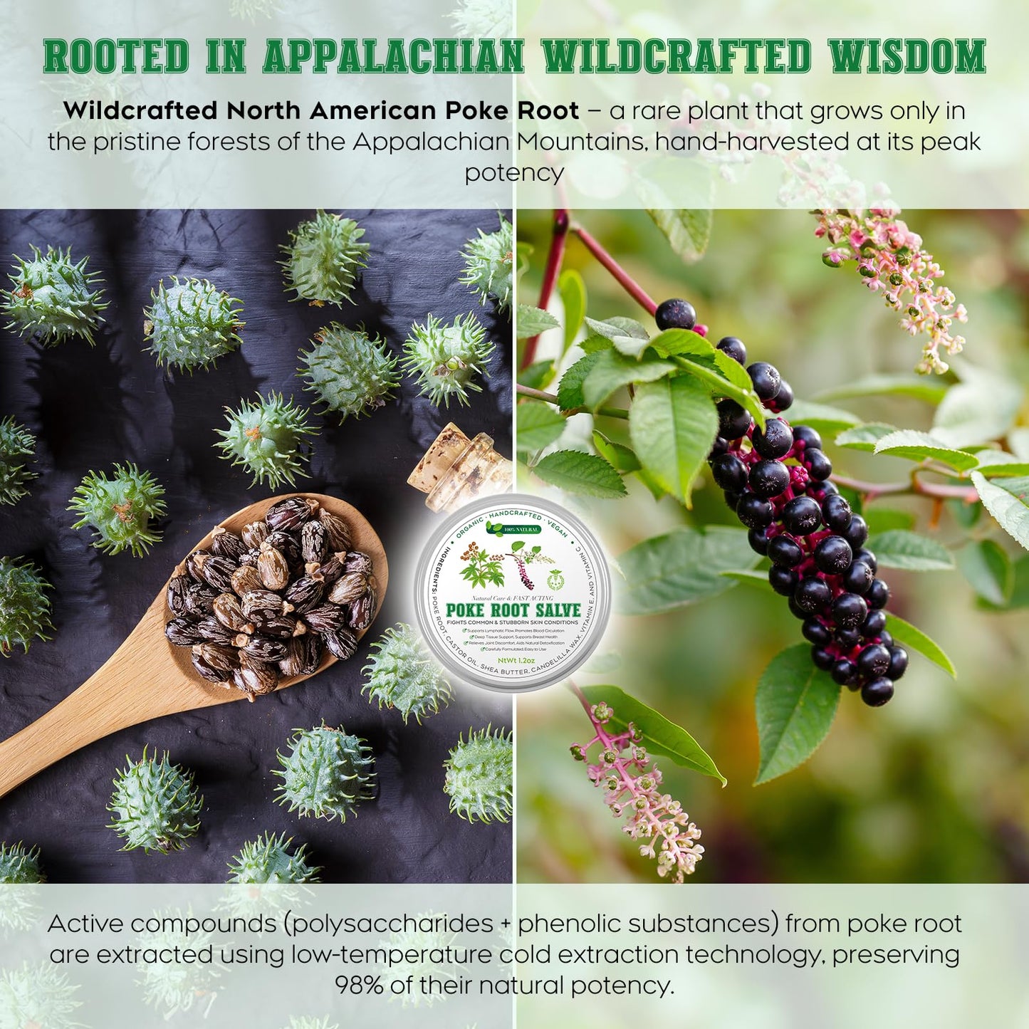 Poke Root & Castor Oil Salve | Organic Soothing Balm for Skin, Massage & Joint Support | Vegan, 1.2oz
