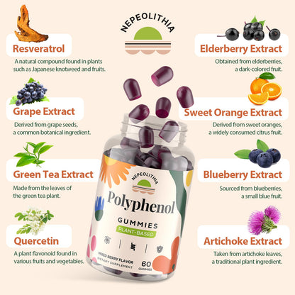 Polyphenol Gummies – Plant-Based Formula with Resveratrol, Elderberry & Turmeric (60 Gummies)