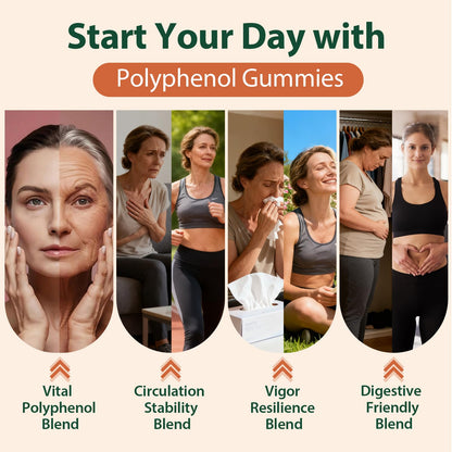 Polyphenol Gummies – Plant-Based Formula with Resveratrol, Elderberry & Turmeric (60 Gummies)