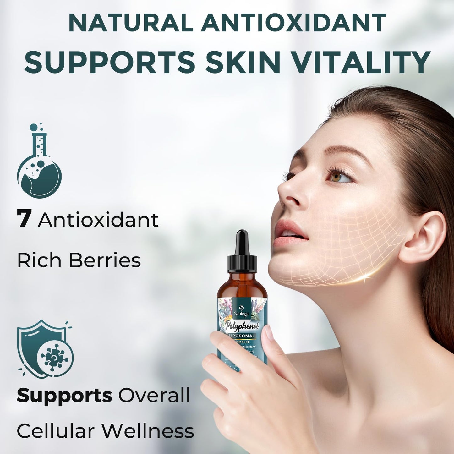 Liposomal Polyphenols Supplement – 27+ Polyphenols, Antioxidant Support | MCT & Olive Oil | 120 ml
