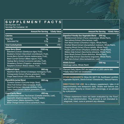 Liposomal Polyphenols Supplement – 27+ Polyphenols, Antioxidant Support | MCT & Olive Oil | 120 ml