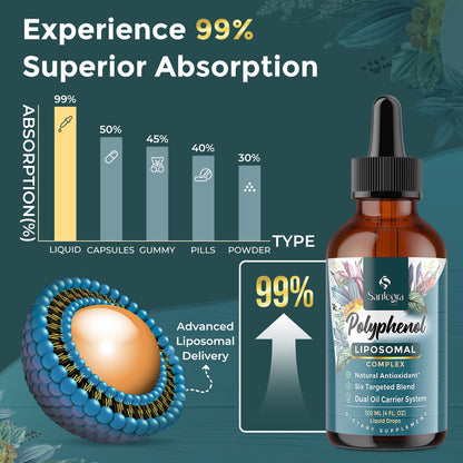 Liposomal Polyphenols Supplement – 27+ Polyphenols, Antioxidant Support | MCT & Olive Oil | 120 ml
