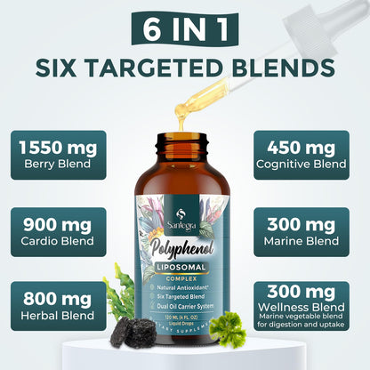 Liposomal Polyphenols Supplement – 27+ Polyphenols, Antioxidant Support | MCT & Olive Oil | 120 ml