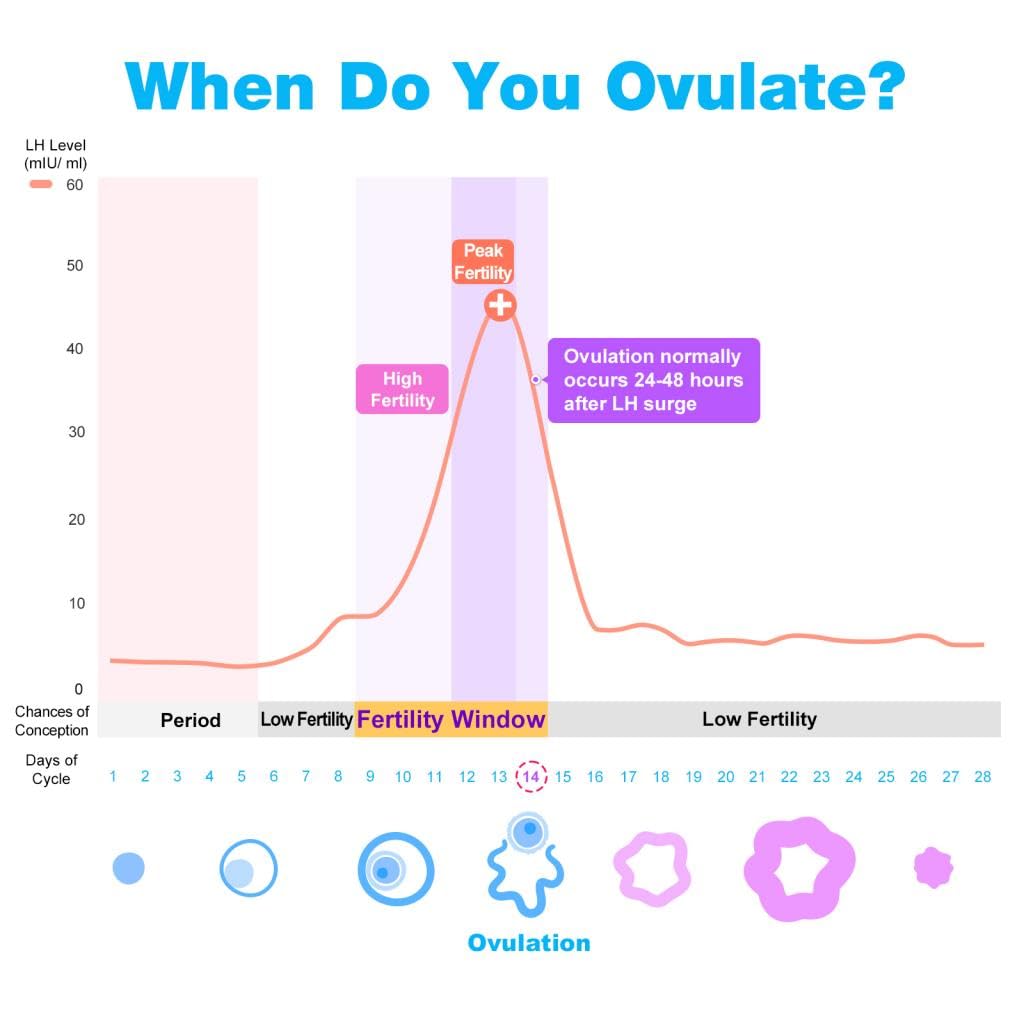 Easy@Home Ovulation Test Strips – 25 Pack, Premom App Compatible