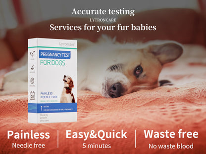 Dog Pregnancy Test Kit at Home - No Blood Draw, 5-Min Results, 98% Reliable