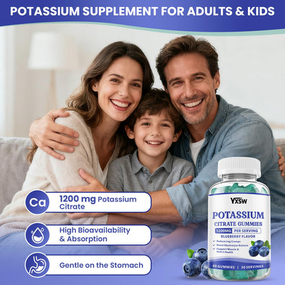 Potassium Citrate Gummies 1200mg – Sugar Free Blueberry 60 Count