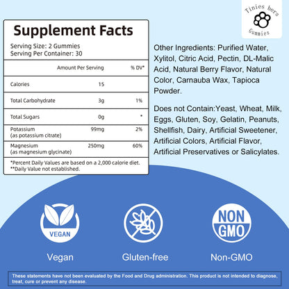 Potassium Magnesium Gummies – Sugar Free, Vegan, Non-GMO | Berry Flavor | 30 Servings