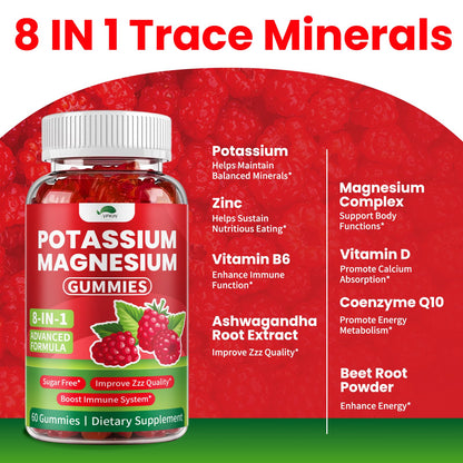 Potassium Magnesium Gummies Sugar Free | High Absorption for Adults & Kids (Raspberry, 60 Count)