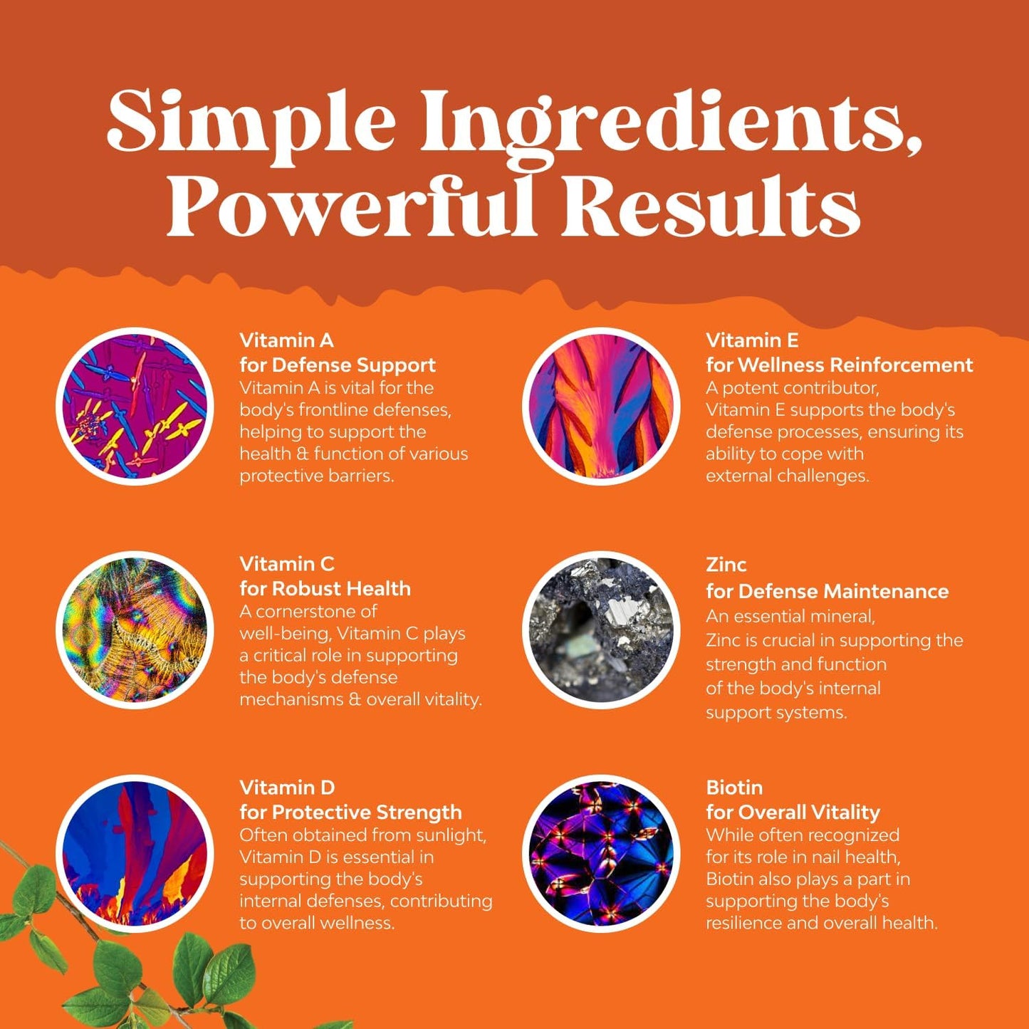 Potent Daily Multivitamin Gummies for Adults | Immune Support & Energy