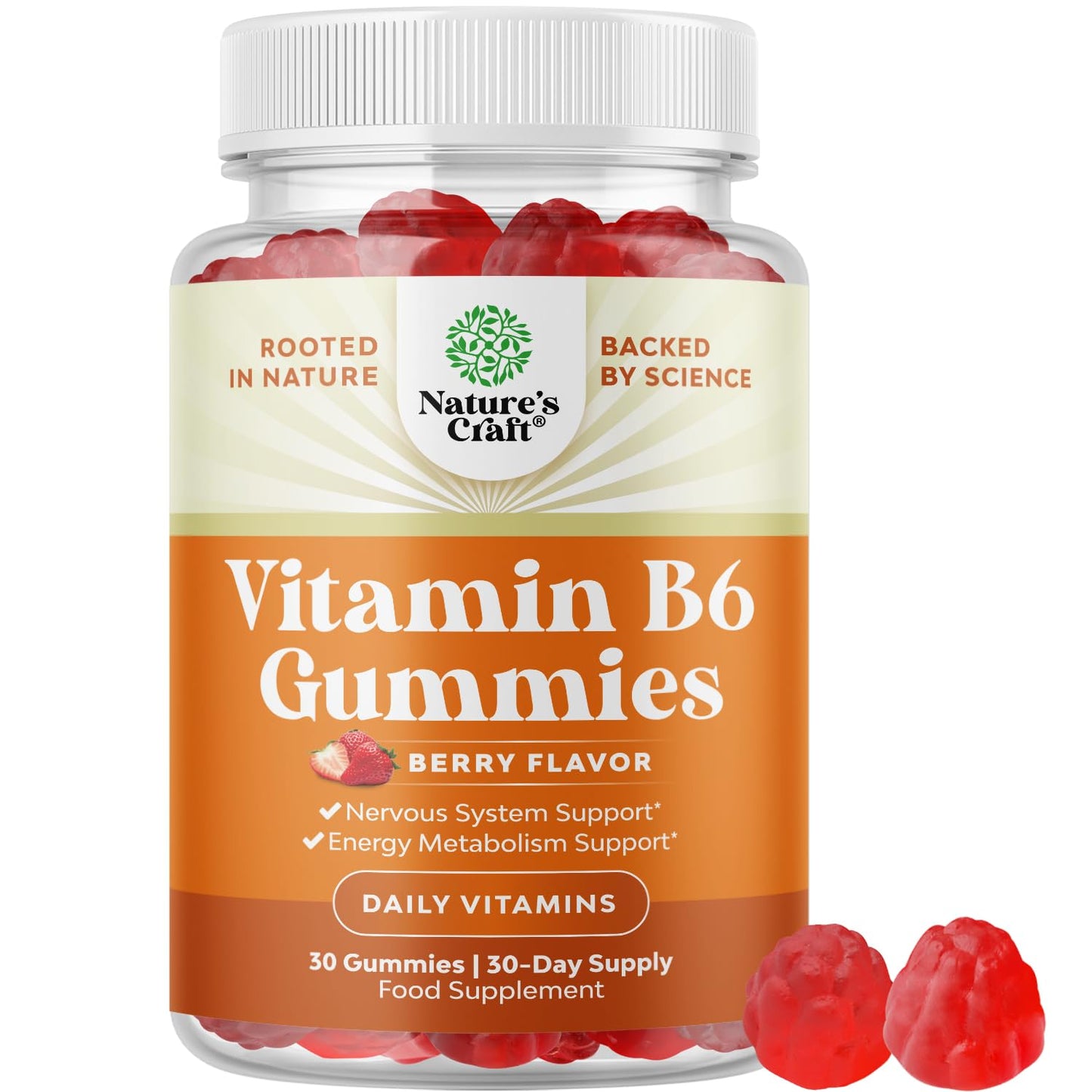 Potent Vitamin B6 Gummies for Adults – Vegan B6 (Pyridoxine) for Mood, Energy & Nervous System Support
