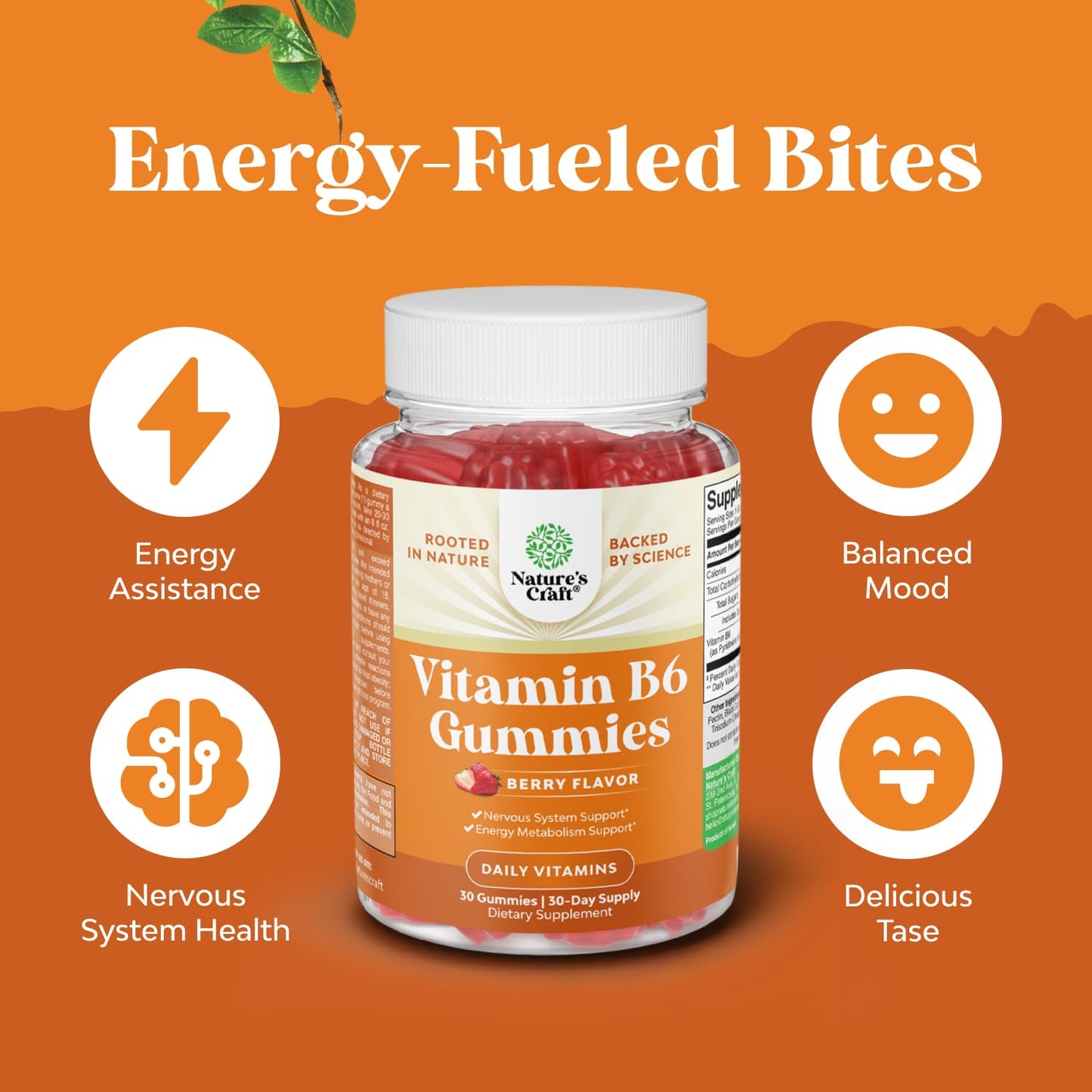 Potent Vitamin B6 Gummies for Adults – Vegan B6 (Pyridoxine) for Mood, Energy & Nervous System Support
