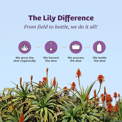 Lily of the Desert Aloe Vera Juice – Inner Fillet, Organic & Digestive Health