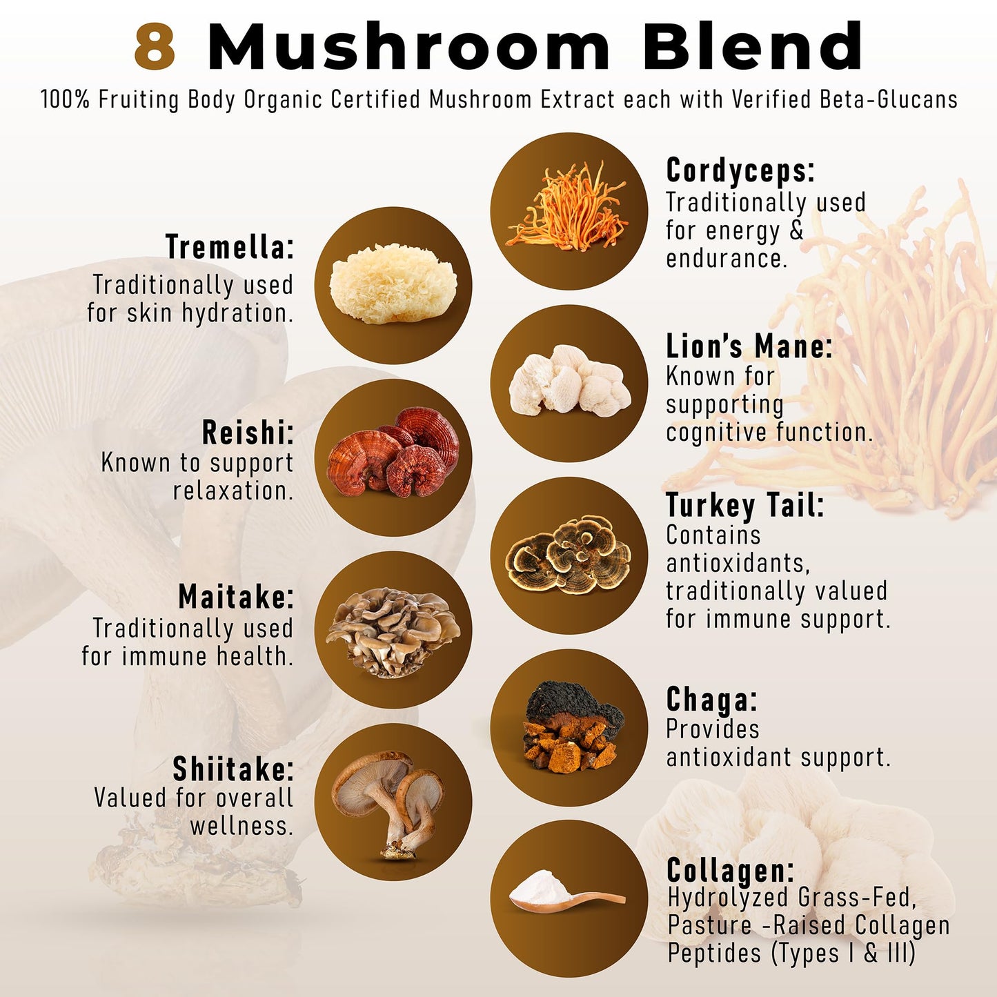 PowderVitamin Organic Mushroom Coffee with Grass-Fed Collagen Energy