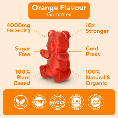 Power Grain Sugar-Free Pumpkin Seed Oil Gummies 4000mg – Hair Growth, Skin, Prostate & Bladder Support | Vegan, Non-GMO, Orange Flavor | 60 Gummies