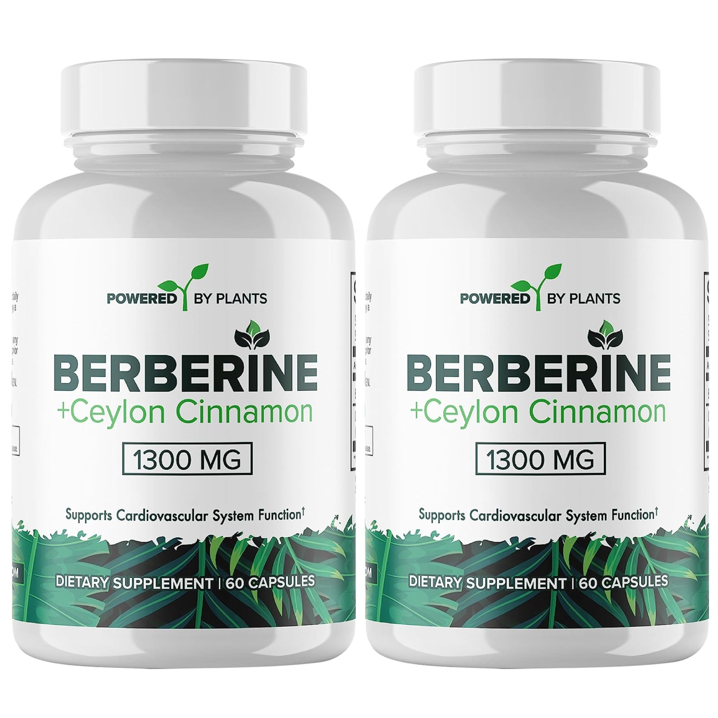POWERED X PLANTS Berberine 1300mg with Ceylon Cinnamon – Metabolism & Immune Support (2 Pack, 120 Servings)