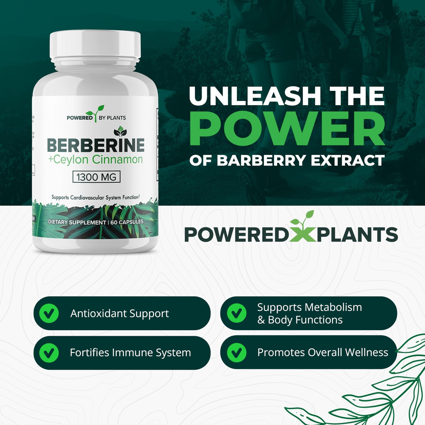 POWERED X PLANTS Berberine 1300mg with Ceylon Cinnamon – Metabolism & Immune Support (2 Pack, 120 Servings)